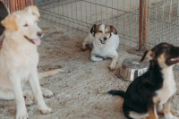 /album/261/whatsapp-image-2026-03-11-at-21-02-02-3-jpeg/